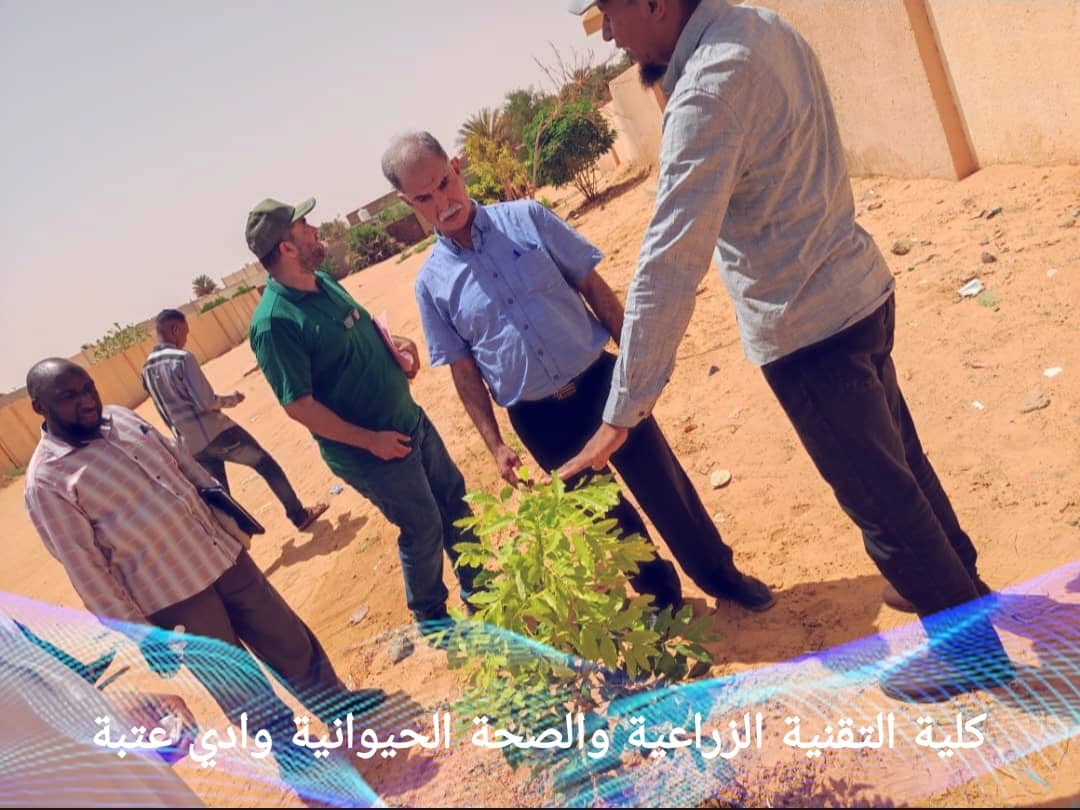 نشاطات العاملين بوحدة الخدمات